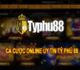 Chia sẻ kinh nghiệm chơi bài tại nhà cái Typhu88 từ người chơi kinh nghiệm